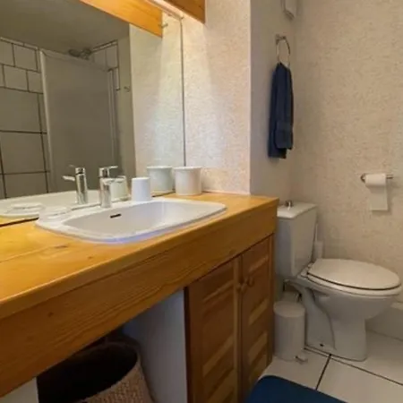 Grand Duplex A Pour 8 Personnes Avec Terrasse Et Parking - Fr-1-494-97 * רויאן